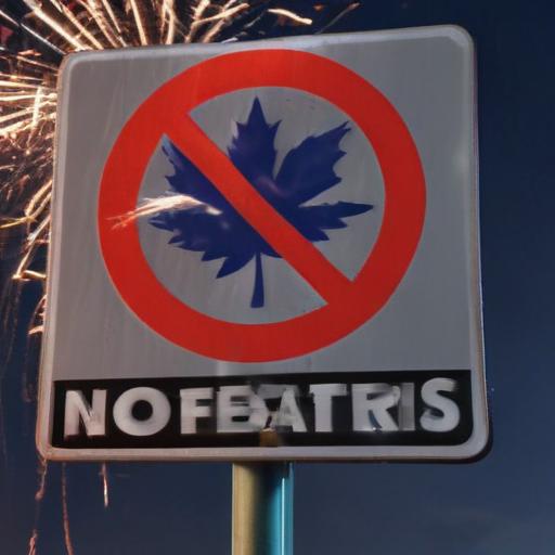 Ignite Safety: Why Fireworks Are a No-Go This Fourth of July