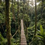 Illustrative image related to Survivor’s Dream Team: How the on-set crew tests challenges, trains leaders and powers the 50th season.